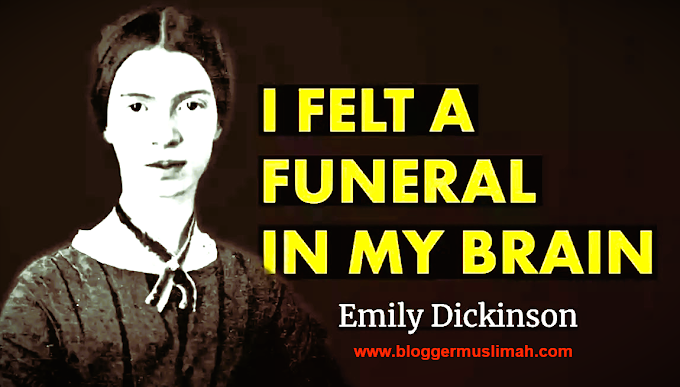 i felt a funeral in my brain explained