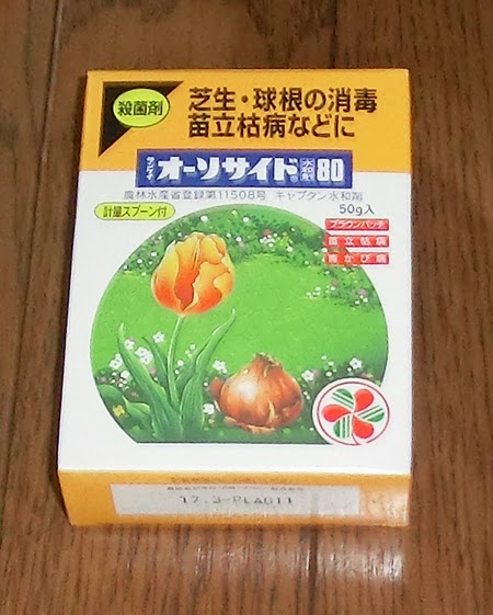 花と野菜 保存版 チューリップの球根 オーソサイド水和剤８０ で消毒のやり方