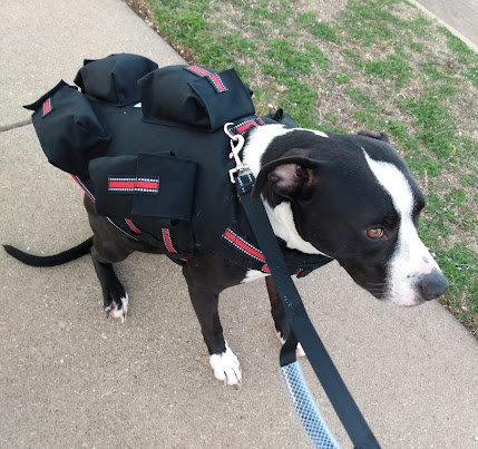 dog weights vest muscle
