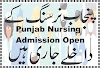 Online Punjab Nursing Recruitment System 2023