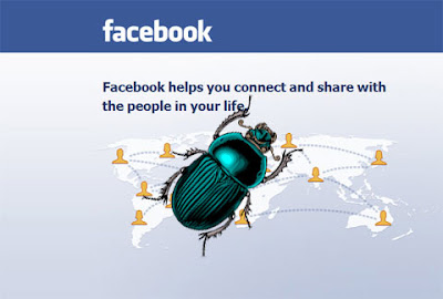 Facebook bug privacy