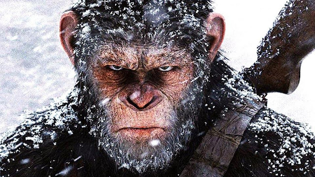 JAMIE EAST AT THE MOVIES War For The Planet Of The Apes is an exciting end to a phenomenal trilogy