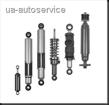 Амортизатор складається з :пружинна клапана,корпус,кулак,вал,болт кріплення амортизатора до рами,важіль,тяга,клапани,заглушка циліндра,пропускні клапани. 
