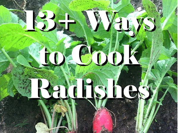 Radish Recipe Roundup! More than 13 Fantastic Ways to Eat Radishes