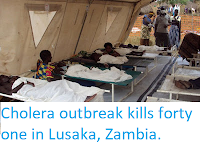 http://sciencythoughts.blogspot.com/2017/12/cholera-outbreak-kills-forty-one-in.html