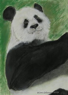 Panda- White Cloud By Cori Solomon