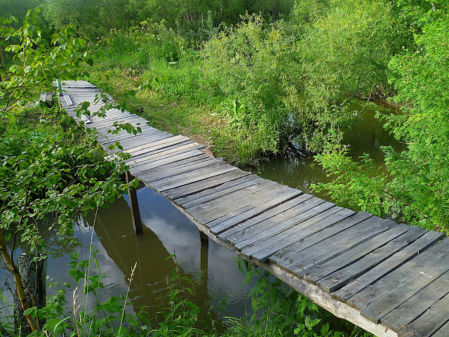 Новосибирская область, Жеребцово – река Издревая