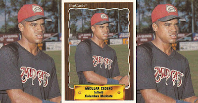 Andujar Cedeno 1990 Columbus Mudcats card