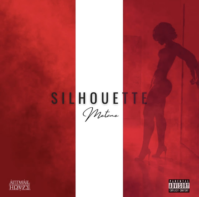 @THISISMETANE- SILHOUETTE (VIDEO RELEASE)