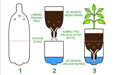 cara menanam hidroponik dengan botol bekas