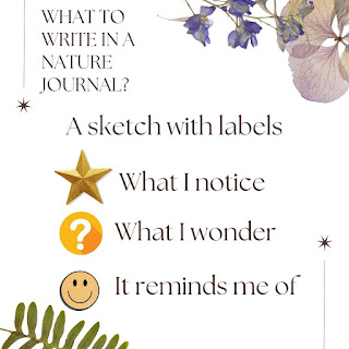 Labels to use while nature journaling. A star by things you notice. A question mark by things you wonder and a smiley face by what the biofact reminds you of.