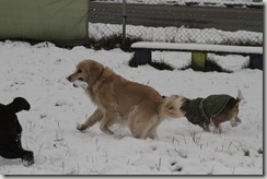 IMG_1790