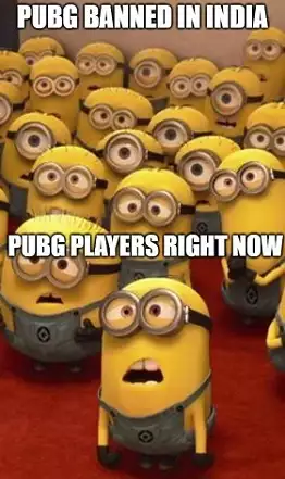 PUBG gamers reaction