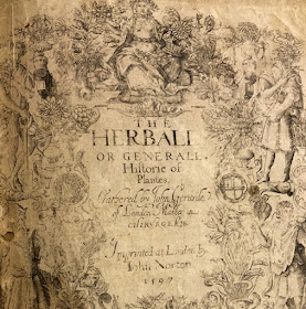 Metal engraved title page of 16th century book: The Herball written by John Gerard. 