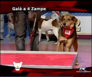 12 a tv