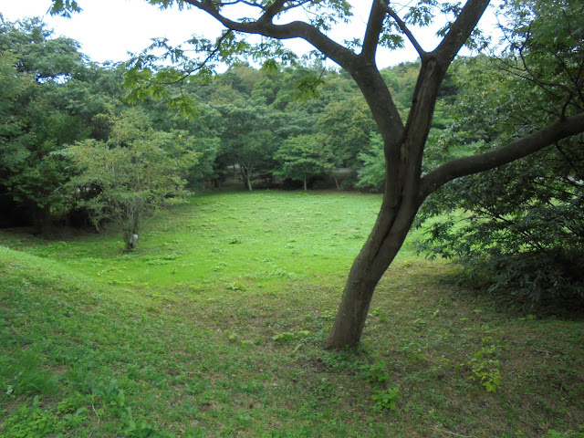 弥生の森の遊歩道