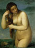 Tiziano Vecellio, Venus Anadyomene