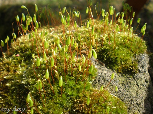 april2010 029