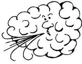 windy2