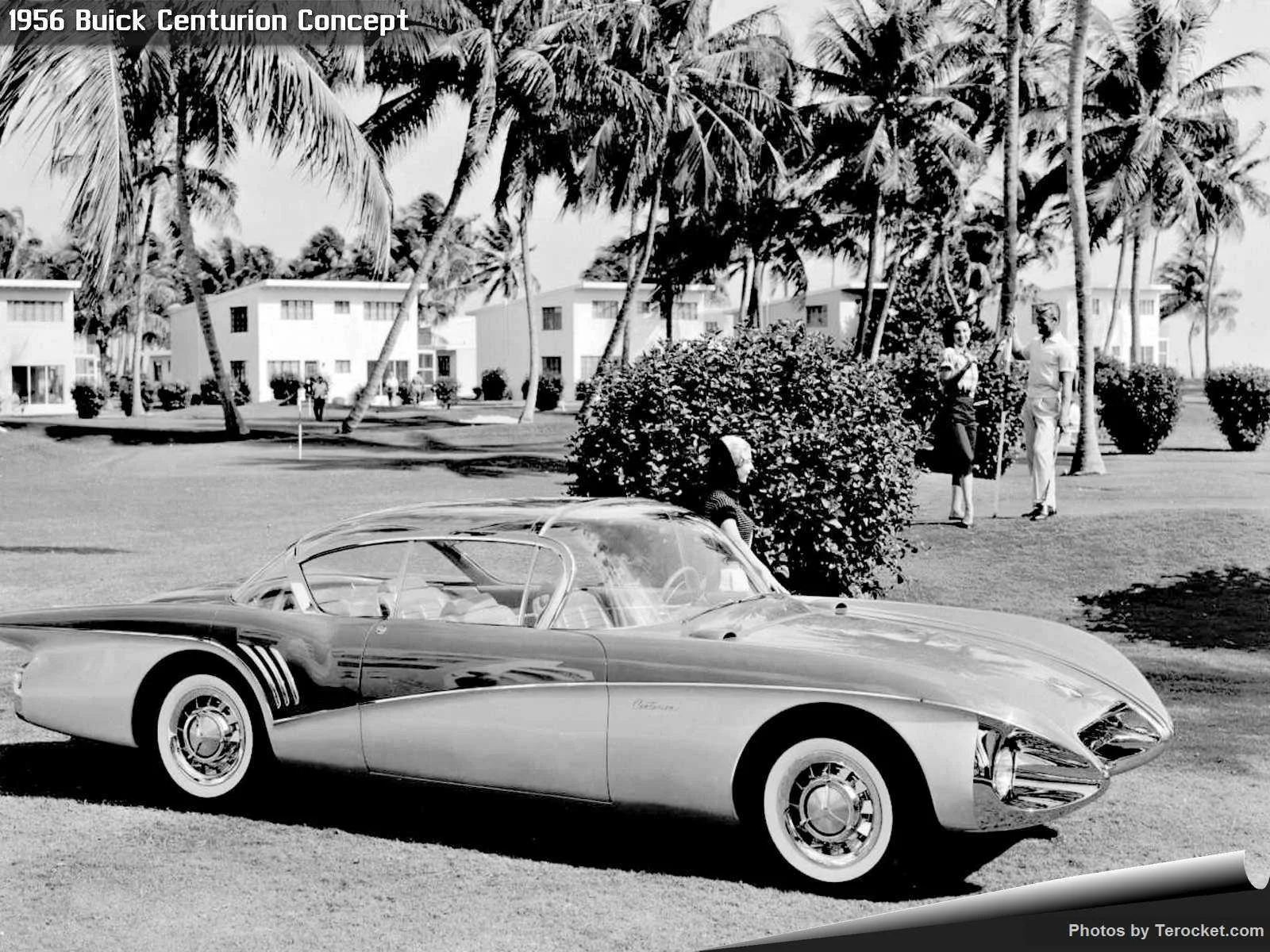 Hình ảnh xe ô tô Buick Centurion Concept 1956 & nội ngoại thất