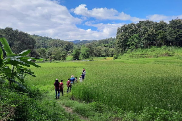trekking within the Mae Wang area