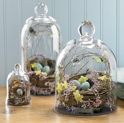 Handblown Nest Bell Jar by Williams Sonoma