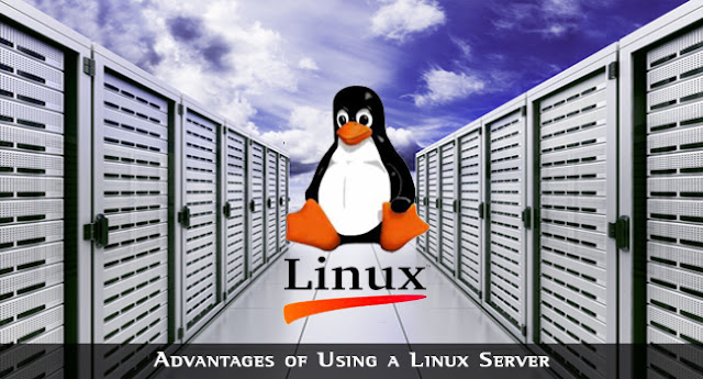 Linux Server, Compare Hosting, Web Hosting, Hosting Guides