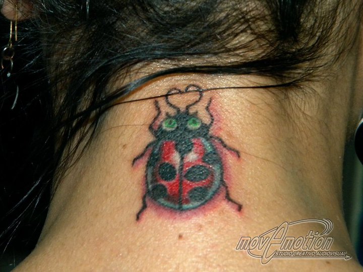 Cherrytattoo Coquito Libelula Mariposa Con Estrellas tattoo libelula