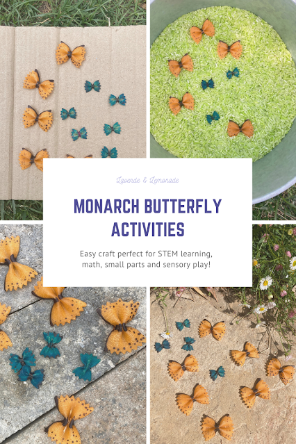 Monarch Butterfly STEM Activities for kids