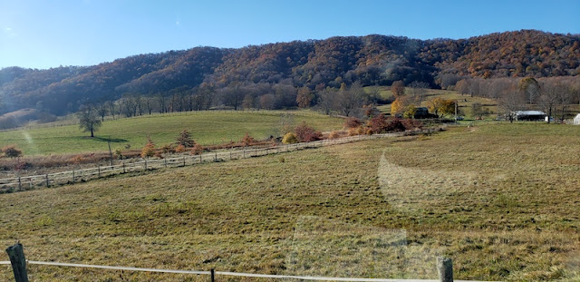 Fall foliage hillside and pasture with a fenced road through it.