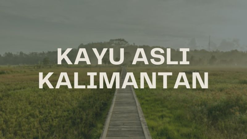 jenis kayu khas kalimantan