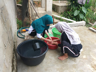 Gambar
