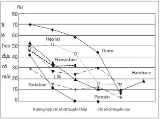 Hình 1: Tổ chức Steroid