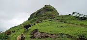 Sondai Fort : Unexplored Jewel of Sahyadris Crown