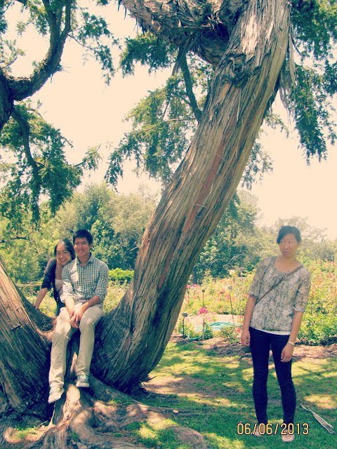 Huntington Gardens- Skeptical