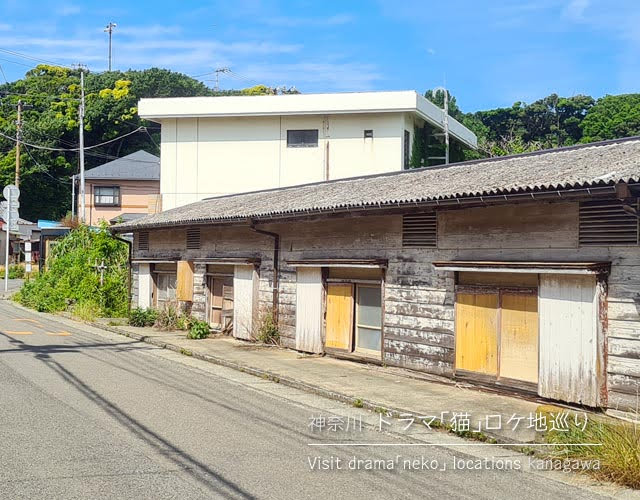 ドラマ「猫」のロケ地を訪ねて三浦半島へ