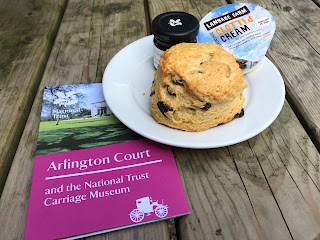 Arlington scone