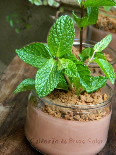 pudim de chocolate vasinho de planta