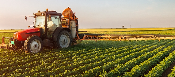 The City Spends The World's Agricultural Land