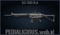 SG 550 Ext.