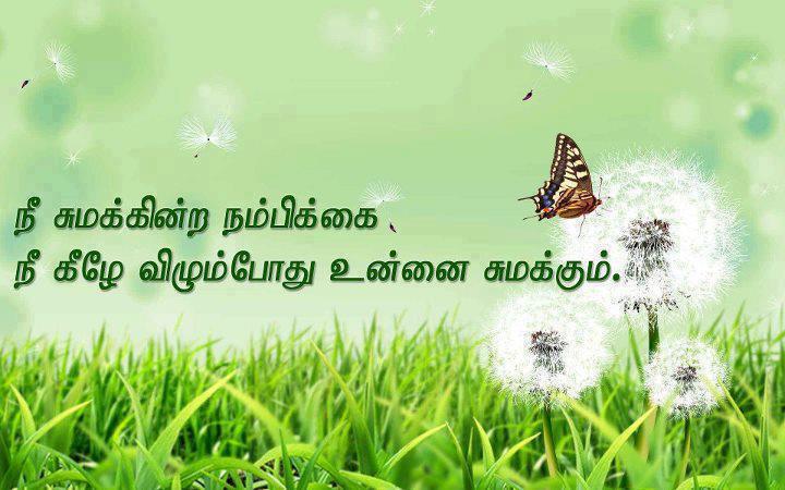  Motivational  Quotes  In Tamil  Motivational  Quotes 