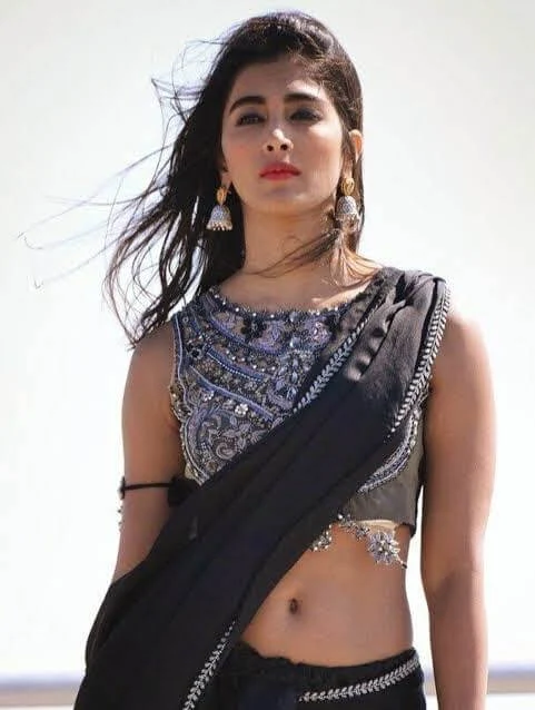 Pooja Hegde Sexy Navel Show in Black Saree