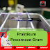 Praktikum Pewarnaan Gram