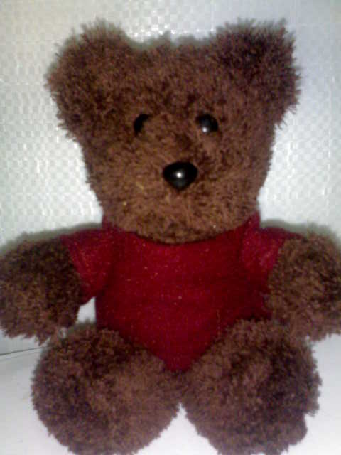  Boneka  Beruang Mungil Souvenir Cantik