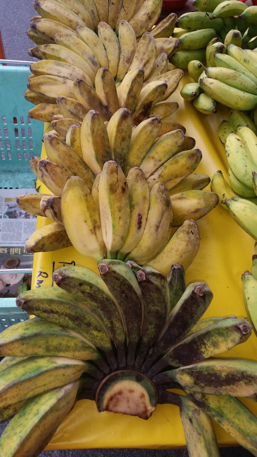 Warisan Petani: Tanaman Pisang 9 : Pisang Nipah.