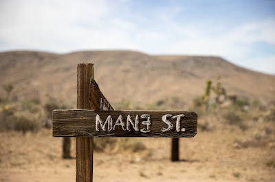 Mane Street