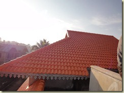 DSC00474