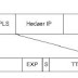 Multiprotocol Label Switching (MPLS)