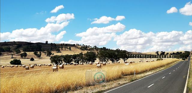 snapWONDERS photo showing Regional Australia of dry fields of harvested hey along a road