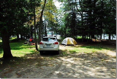 Brown Tract Pond_036